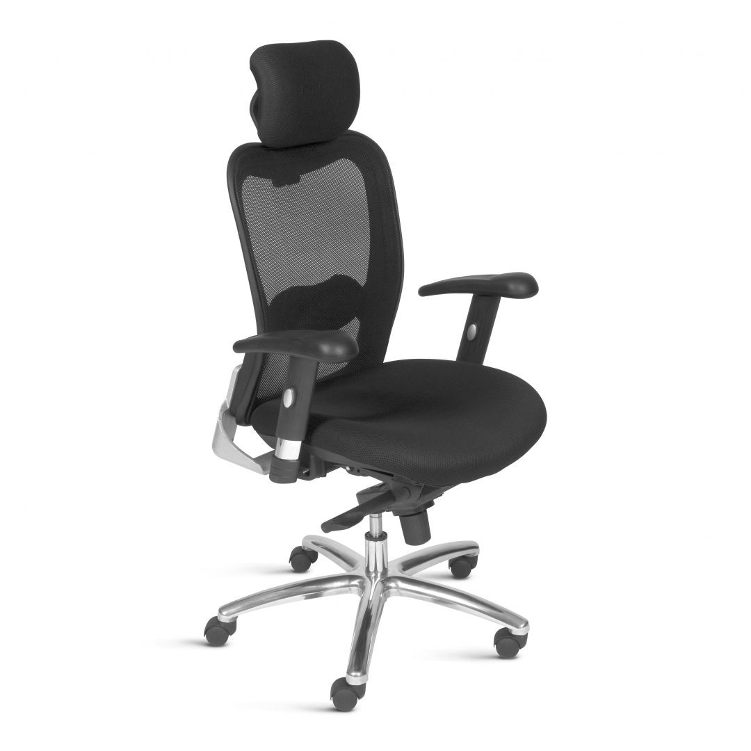 Cadeira Modelo Presidente New Ergon