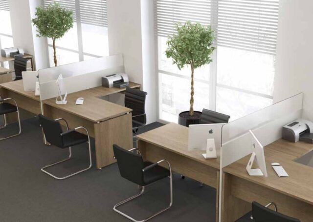Linha Wood